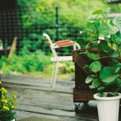 2023年香港资料精准下载手机版