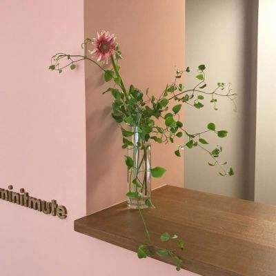 购彩中心手机app下载