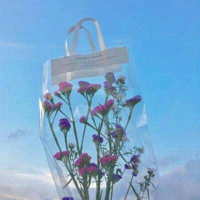 加拿大pc入口下载手机版